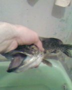 Photo-0152.jpg