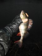 рыбалка Орель микроджиг 25.11.2009 003.jpg