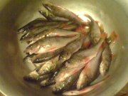 DSC00007.jpg