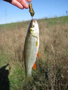 IMG_0656.jpg