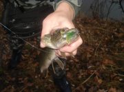 DSC05407.jpg