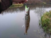 IMG_9320_1.JPG