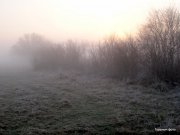 Дома 001.jpg