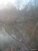Дома 016.jpg