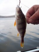 100_2316.jpg