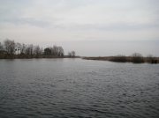 IMG_0514.jpg