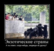 demotivator125.jpg