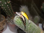 PC080024.JPG