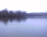 091129_080542.jpg