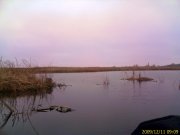 IMAGE_772.jpg