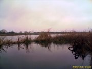 IMAGE_773.jpg