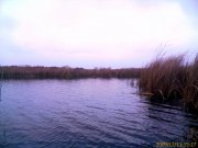 IMAGE_778.jpg