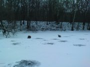 DSC01513.JPG