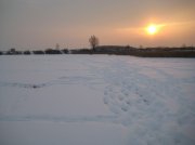 IMG_0516.jpg