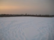 IMG_0517.jpg