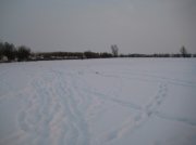 IMG_0518.jpg