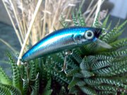 L-minnow F200.jpg