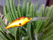 Hardcore Shad F677 цвет MAT.jpg