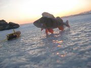 IMG_4609.jpg