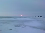 DSC01558.JPG
