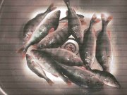 Реэкспонирование IMG_9383_1_1_1.JPG