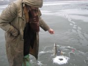 IMG_2356.jpg