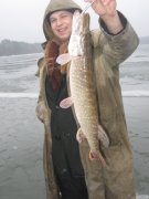 IMG_2362.jpg