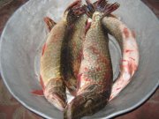 IMG_2363.jpg