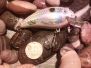 DSC00667.JPG