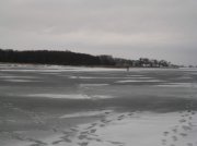 IMG_0528.jpg
