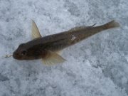 PC300175.JPG