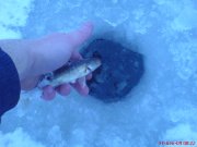 хай живе.JPG