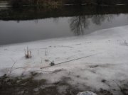 IMG_7731.jpg