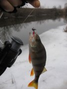 IMG_7741.jpg