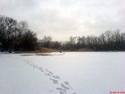 DSC01023.JPG