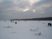 2_В поисках добычи.jpg