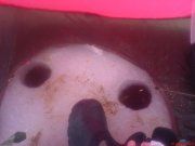 DSC01024.JPG