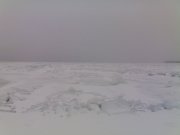 070120101262.jpg