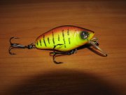 IMG_1759_Moya.jpg