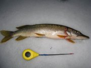 IMG_0120.JPG