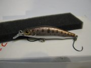 IMG_0048.jpg