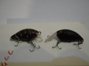 IMG_0049.jpg