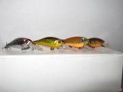 IMG_0051.jpg