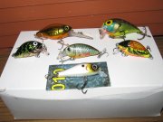 IMG_0055.jpg
