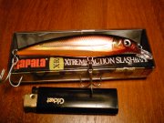 Rapala X-RAP SXR10 G.JPG