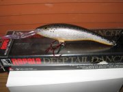 IMG_0079.jpg