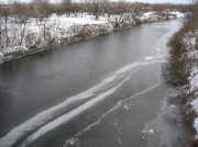 IMG_7841.jpg