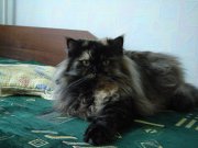 DSC08740.JPG