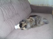 PICT0233.JPG