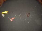 Resize of DSC00742.JPG